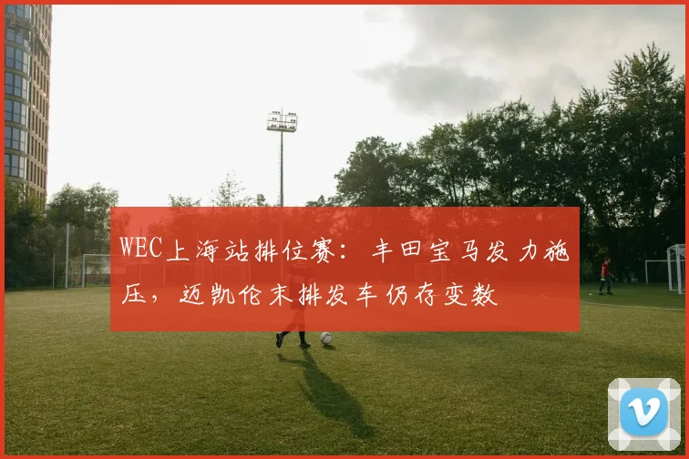 WEC上海站排位赛：丰田宝马发力施压，迈凯伦末排发车仍存变数