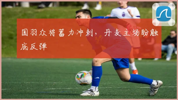 国羽众将蓄力冲刺，丹麦主场盼触底反弹