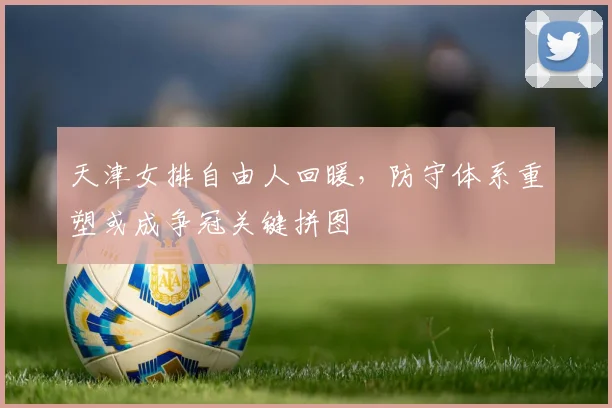 天津女排自由人回暖，防守体系重塑或成争冠关键拼图 - 爱游戏