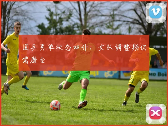 国乒男单状态回升，女队调整期仍需磨合