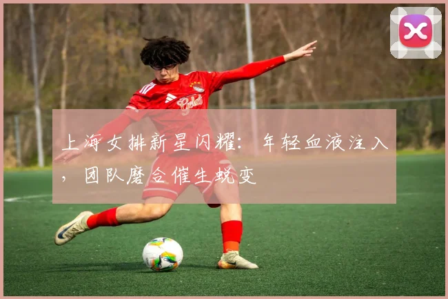 上海女排新星闪耀：年轻血液注入，团队磨合催生蜕变